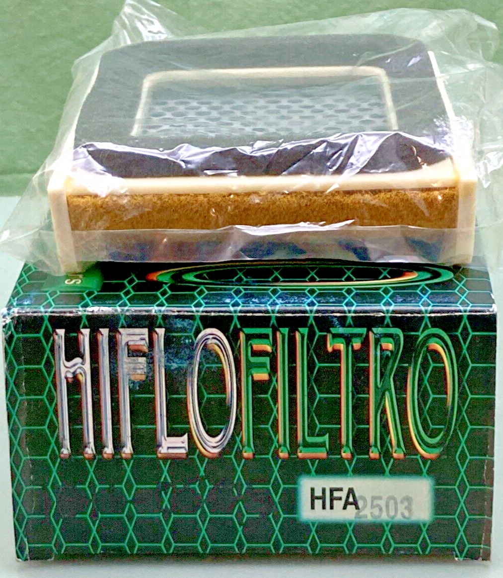 NEW GENUINE HI-FLO HFA2503 AIR FILTER