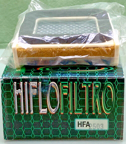 NEW GENUINE HI-FLO HFA2503 AIR FILTER
