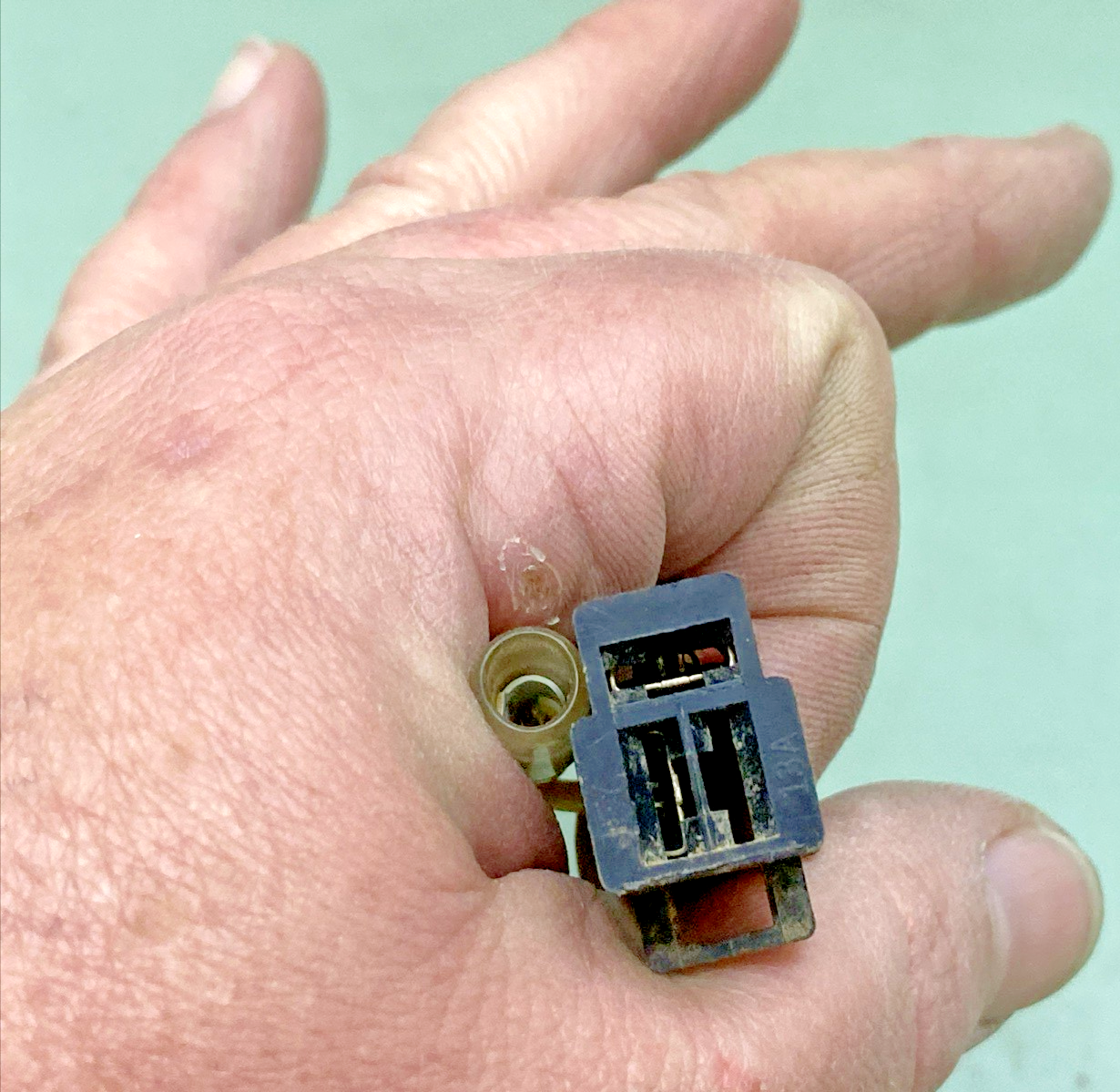 REPLACES KAWASAKI 21003-Y001 STATOR, D402, FOR KAWASAKI '07-'24 KFX50