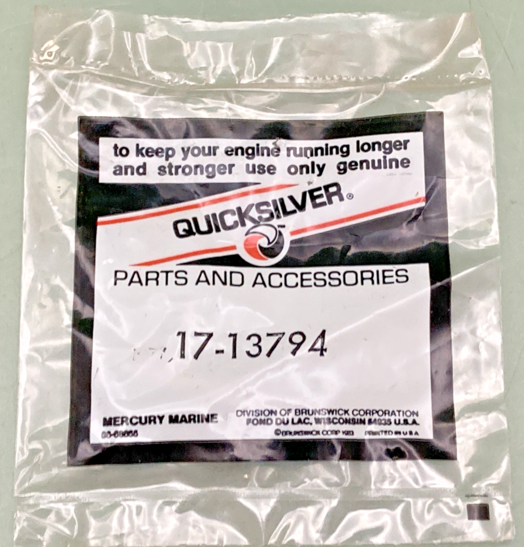 QTY 2 NEW GENUINE MERCURY 17-13794 PIN
