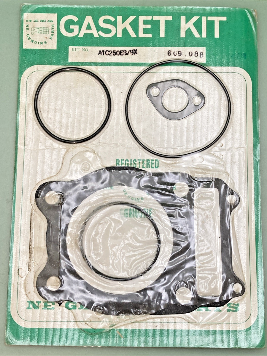 NEW GENUINE NE 609088 GASKET SET