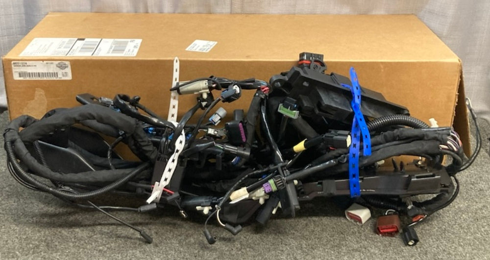 Harley Davidson 69201127A HARNESS WIRE MAIN FLTRX New Genuine