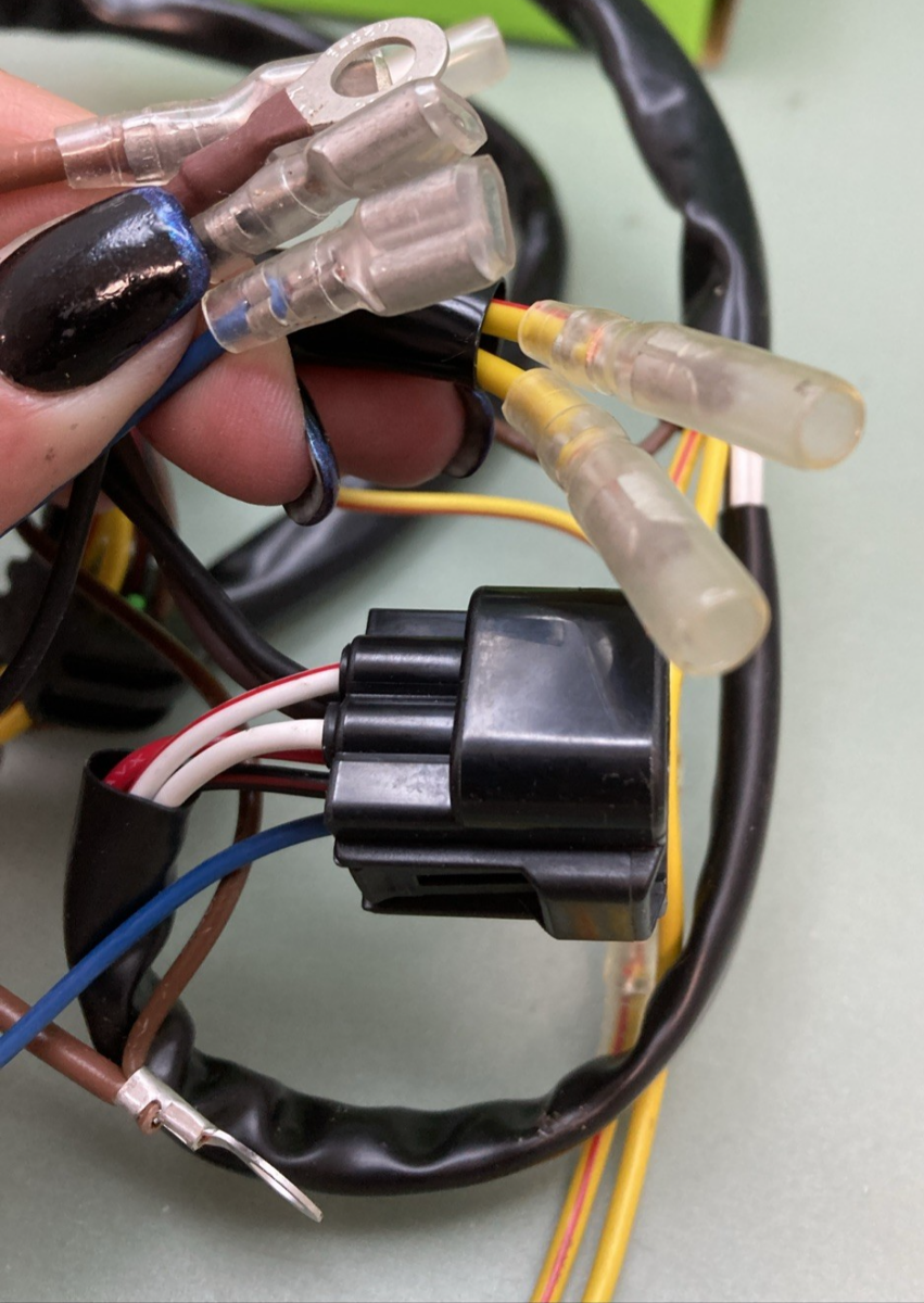 NEW GENUINE RICK'S MOTORSPORT 21-556 Stator Polaris 3087168