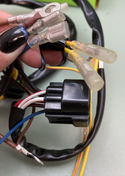 NEW GENUINE RICK'S MOTORSPORT 21-556 Stator Polaris 3087168