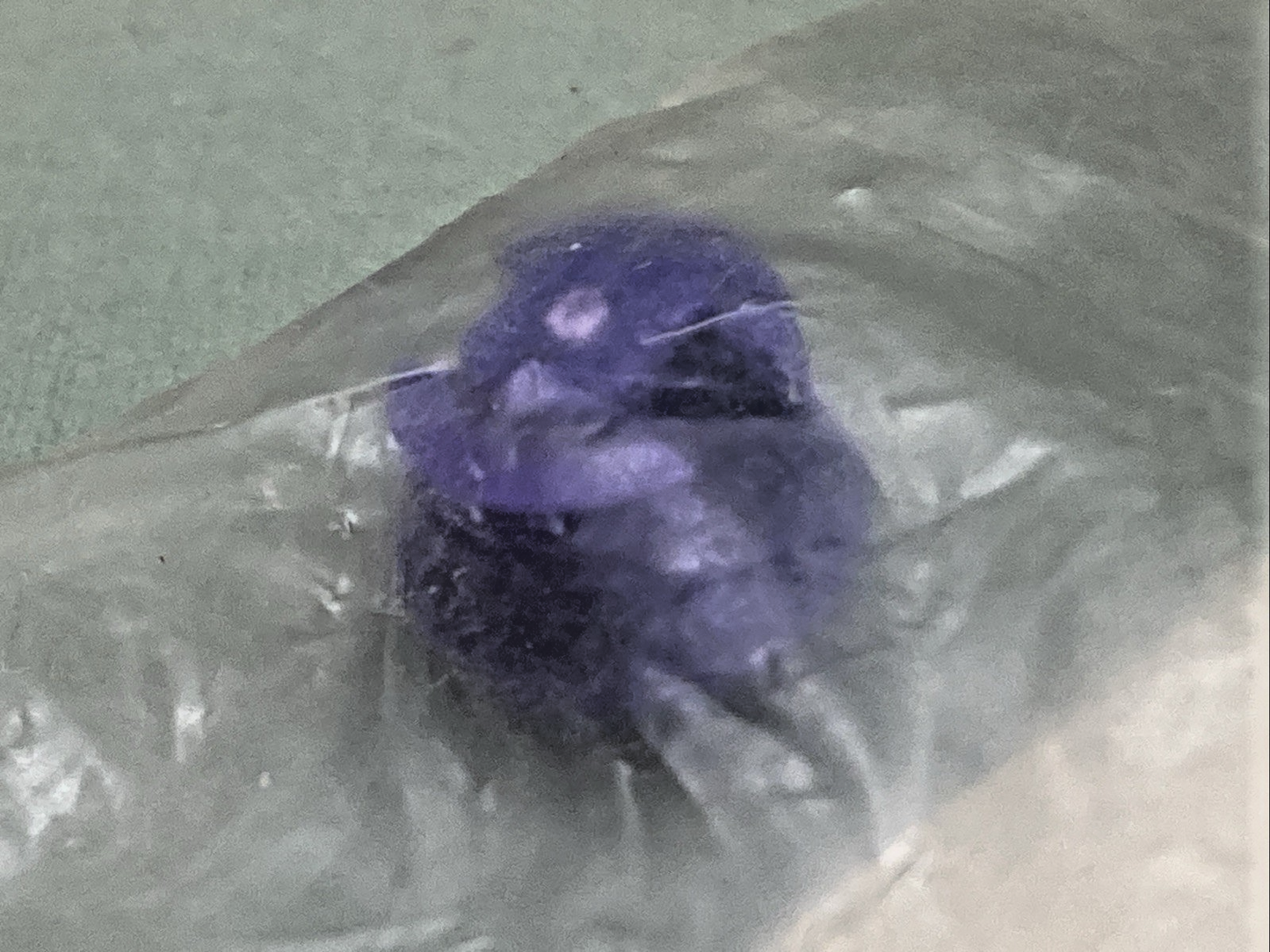 QTY 2 NEW GENUINE POLARIS 5431994-194 Plug, Bumper, Rear