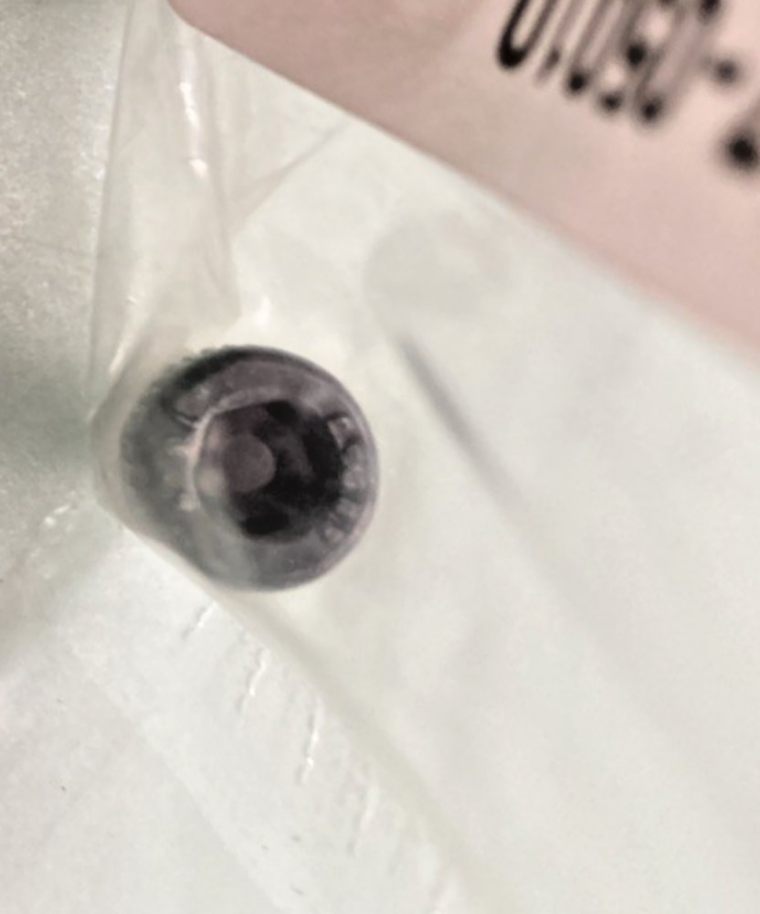 QTY 2 NEW GENUINE YAMAHA 91317-05010 FUEL TANK BOLT