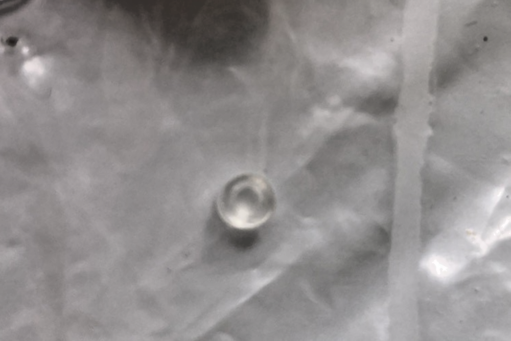 QTY 4 NEW GENUINE POLARIS 3130237 CAP CARBURETOR