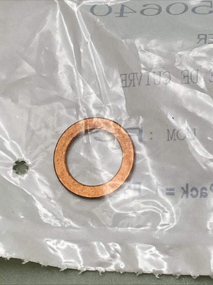 QTY 2 NEW REPLACES BRP 420250640 COPPER WASHER