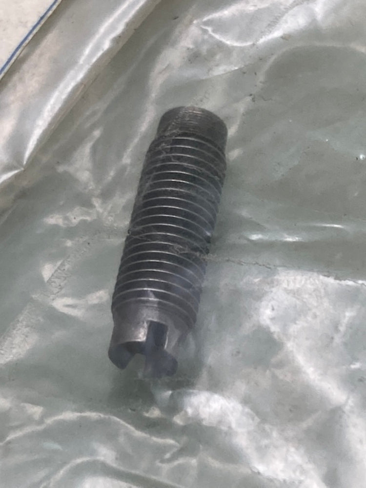 Polaris 3084911 ADJUSTING SCREW New Replaces