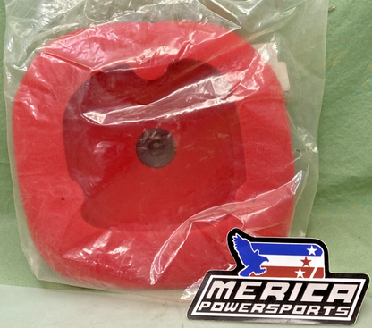 NEW REPLACES SSR A00222-14-00 AIR FILTER ELEMENT SR150