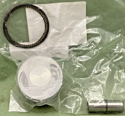 NEW GENUINE SSR A02521-09-00 PISTON AND RING SET