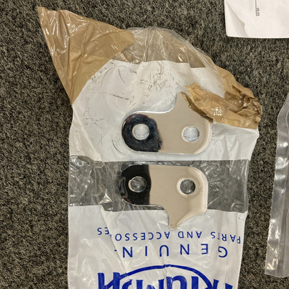 NEW GENUINE TRIUMPH A9901058 Screen Kit