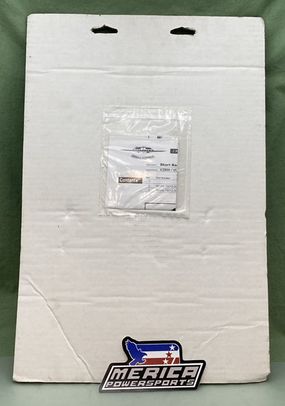 NEW GENUINE SUZUKI BOULEVARD 990A0-75012 Low Sissy Bar/Backrest