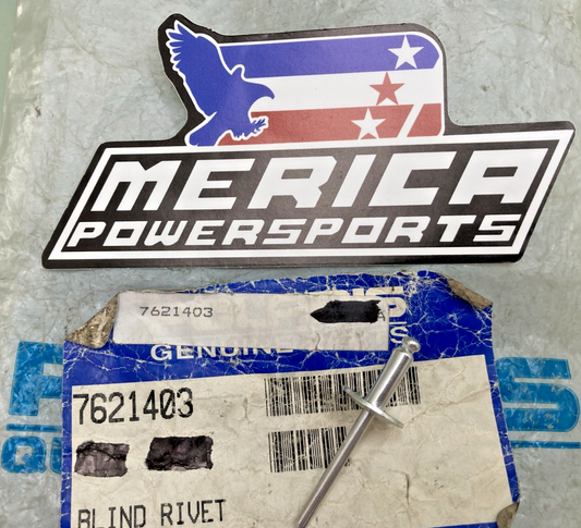 QTY 4 NEW GENUINE POLARIS 7621403 BLIND RIVET