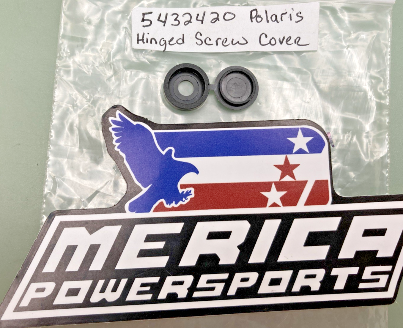QTY 2 NEW REPLACES POLARIS 5432420 HINGED SCREW COVER