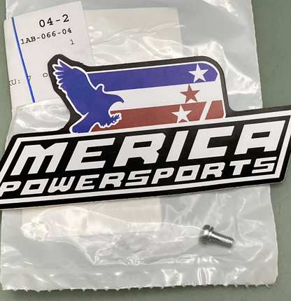 QTY 2 NEW GENUINE ARCTIC CAT 5507-035 SCREW
