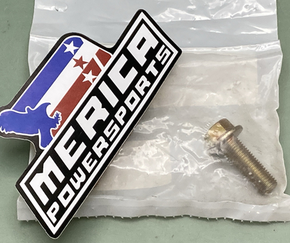 QTY 2 NEW GENUINE ARCTIC CAT 8409-030 CAP SCREW