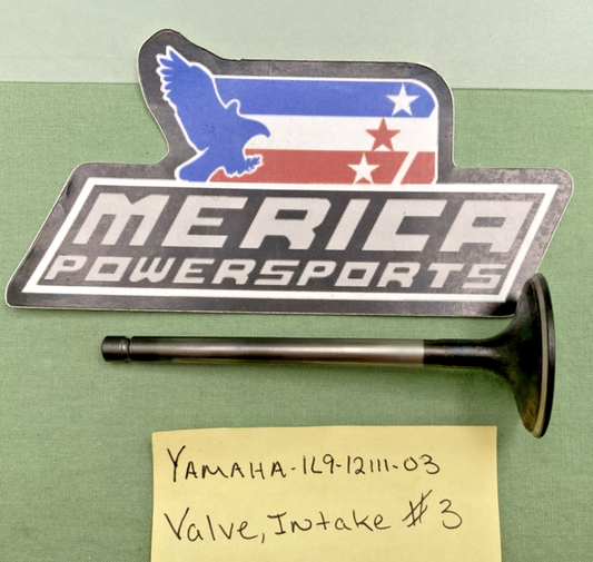 REPLACES YAMAHA 1L9-12111-03 Valve, Intake#3