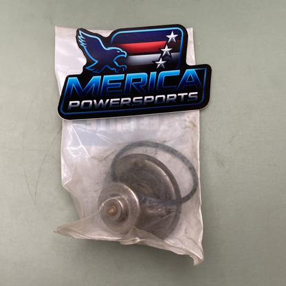 New Genuine Fleetrite 1822689C1 Thermostat