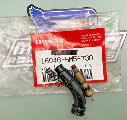 Genuine Honda 16046-HM5-730 Valve, Set, Starter, Replaces: 16046-HM5-671