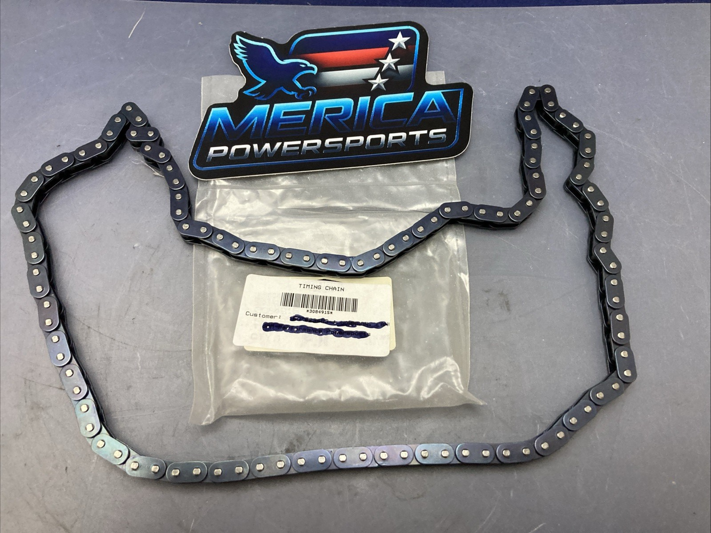 NEW REPLACES POLARIS 3084915 TIMING CHAIN