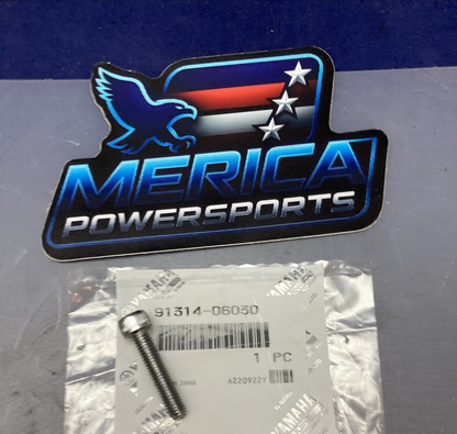QTY 2 NEW GENUINE YAMAHA 91314-06030 SOCKET BOLT