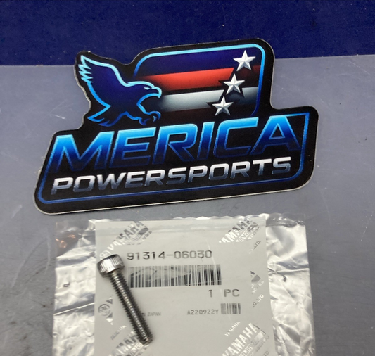 QTY 2 NEW GENUINE YAMAHA 91314-06030 SOCKET BOLT