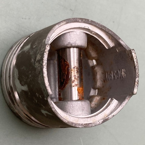 Kohler 50 074 03 Piston New Genuine