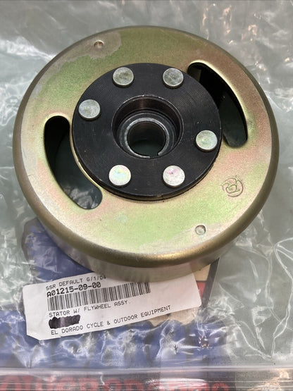 New Replaces SSR A01215-09-00 Stator W/ Flywheel Assy