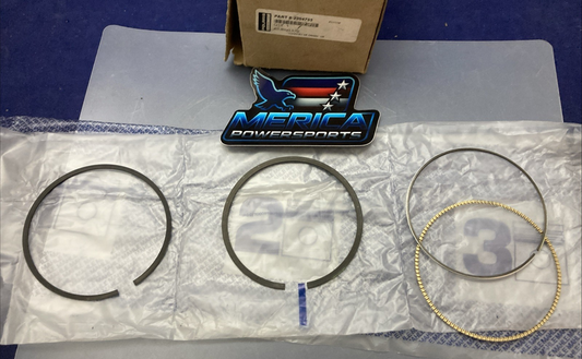 New Genuine Polaris 2204733 Piston Ring Set STD