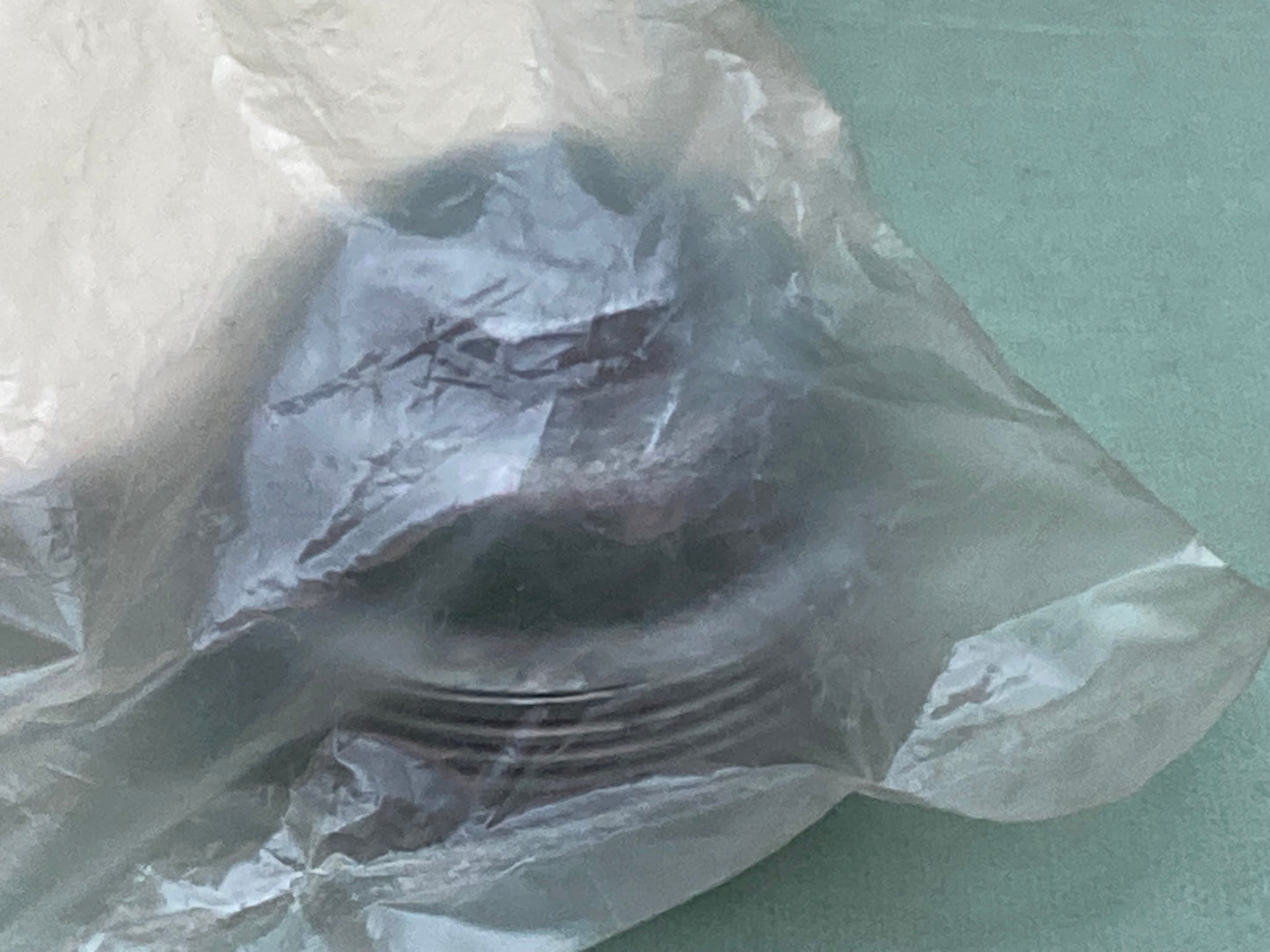 New Genuine Honda 16967-GA6-671 Cup, Fuel, Strainer