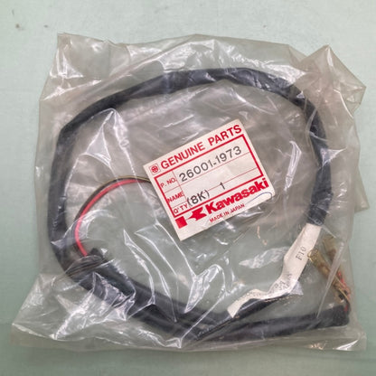 Kawasaki 26001-1973 Tail Lamp Harness New Genuine