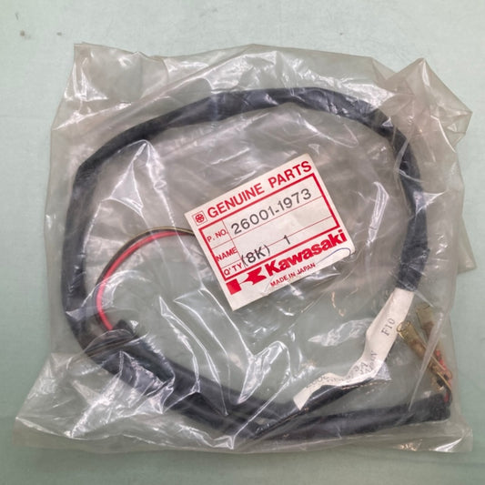 Kawasaki 26001-1973 Tail Lamp Harness New Genuine