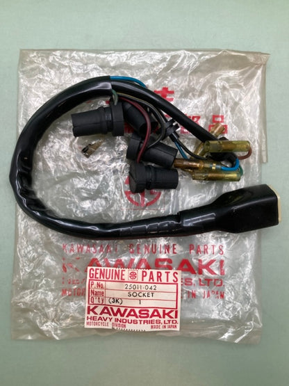 Kawasaki 25011-042 Socket Indicator Lamp New Genuine