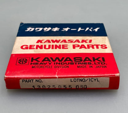 Kawasaki 13025-055 RING SET New Genuine