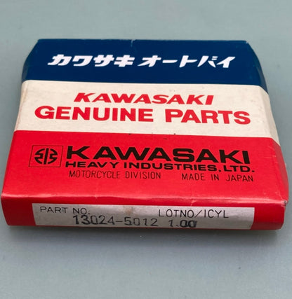 Kawasaki 13024-5012 RING SET New Genuine