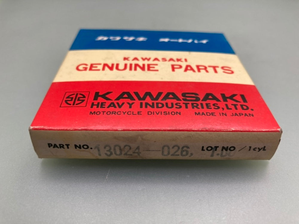 Kawasaki 13024-026 Ring Set New Genuine