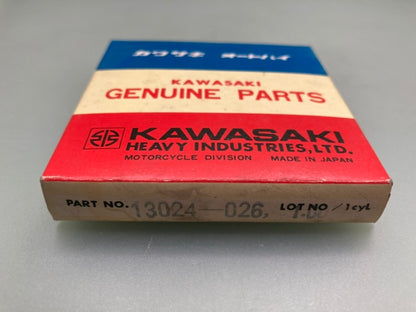 Kawasaki 13024-026 Ring Set New Genuine