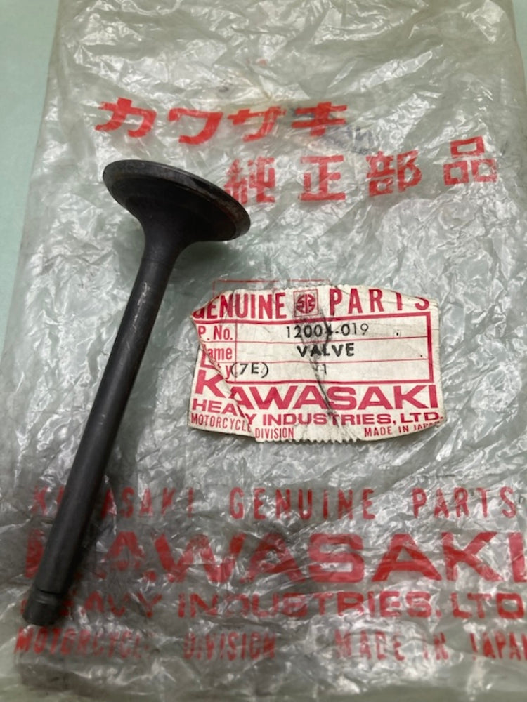 Kawasaki 12004-019 VALVE INTAKE New Genuine