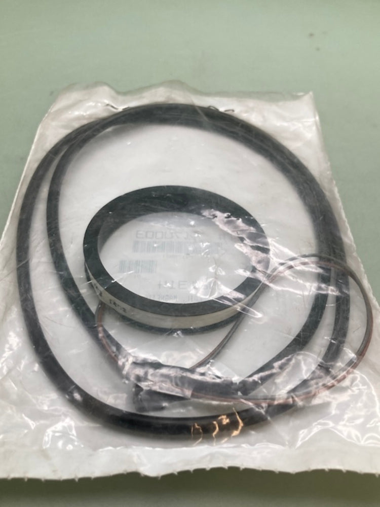 Polaris 4170003 MAGNETIC COIL New Genuine