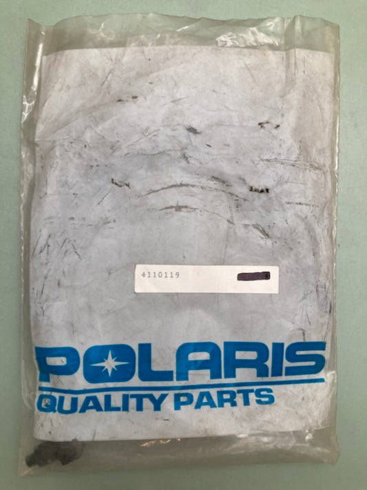 Polaris 4110119 SWITCH ORIDE New Genuine