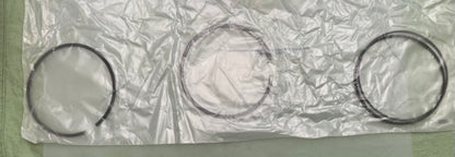 Mahle Motorsport 93L92 Kit, Piston, Ring, Fitts Polaris  2204949 New Genuine