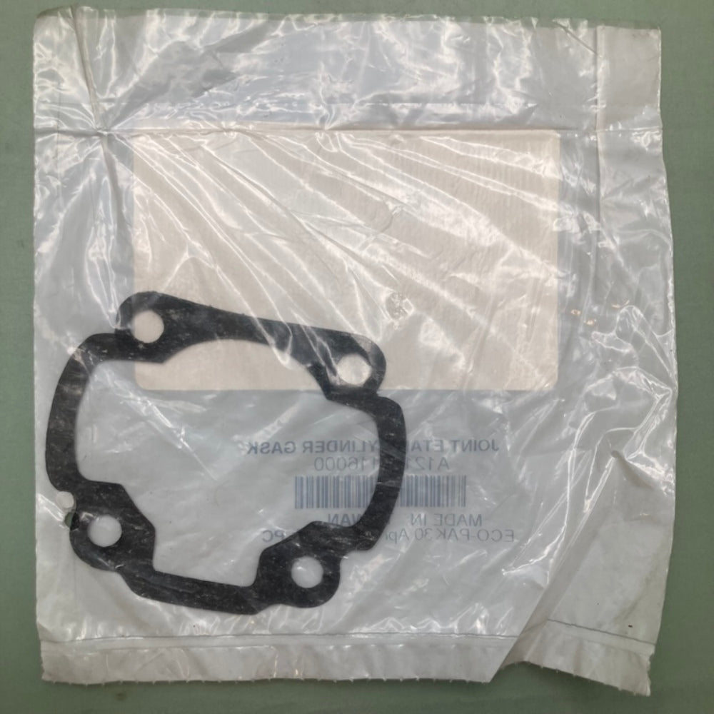 Replaces Can-Am A12191116000 Cylinder Gasket, New