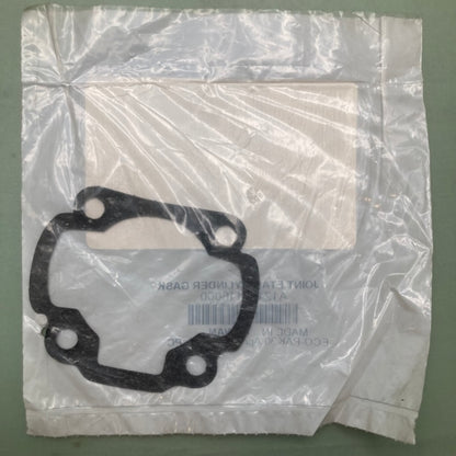 Replaces Can-Am A12191116000 Cylinder Gasket, New