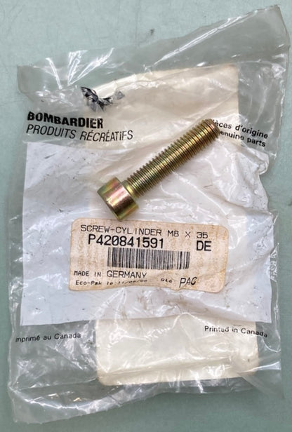 Qty 2 Bombardier 420841591 Cylinder Screw, New Genuine