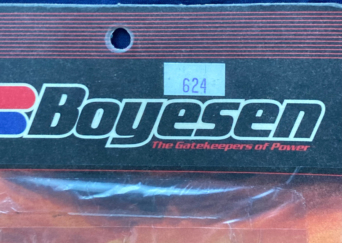 New Genuine Boyesen 624 Power Reeds