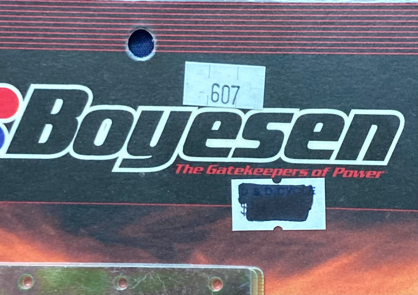New Genuine Boyesen 607 Power Reeds
