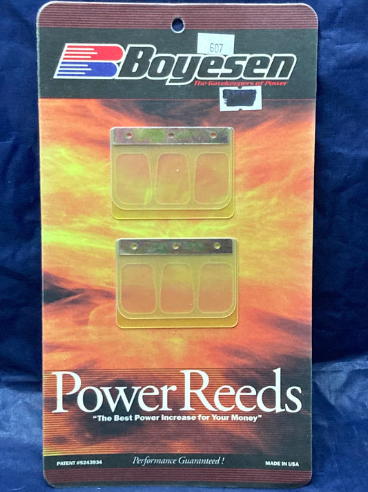 New Genuine Boyesen 607 Power Reeds