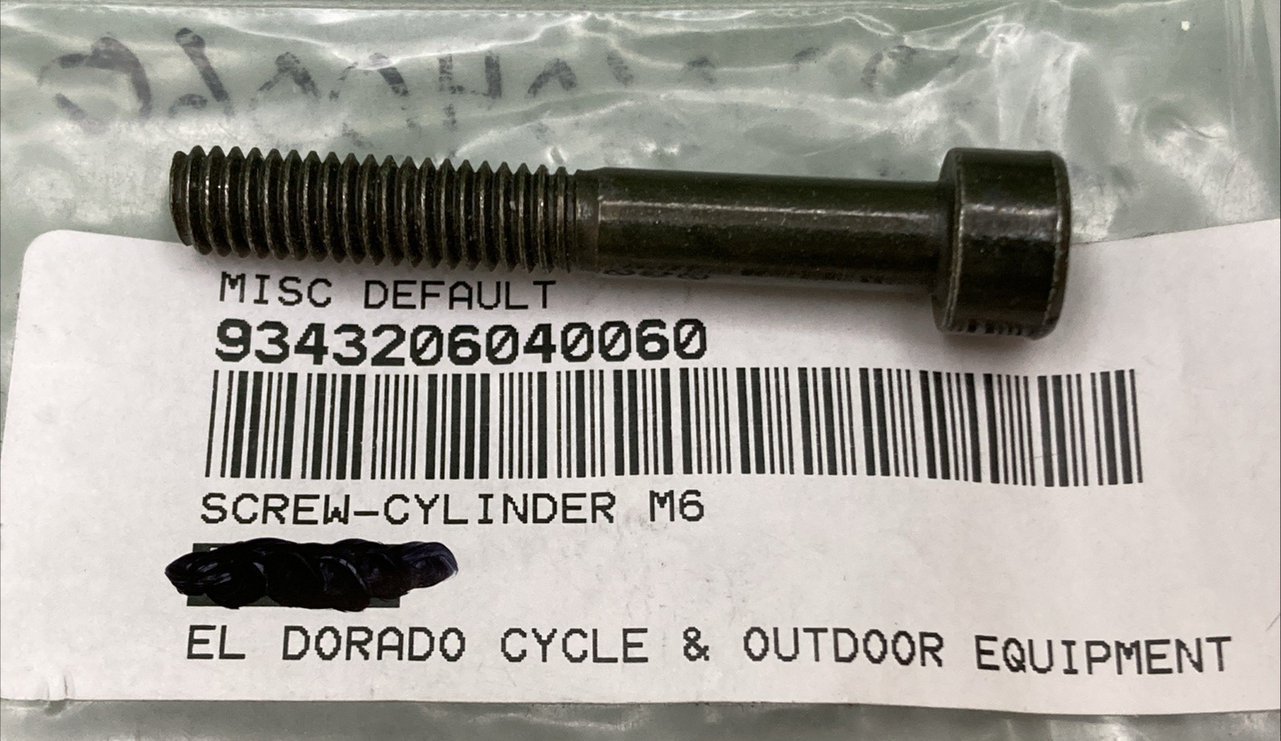NEW REPLACES HISUN 93432-060-0060 SCREW CYLINDER M6