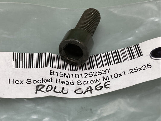 NEW REPLACES HISUN B15M101252537 HEX SOCKET HEAD SCREW M10 X 1.25 X 25